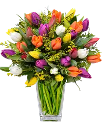Bouquet tulips