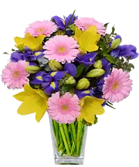 Bouquet iris e gerbere