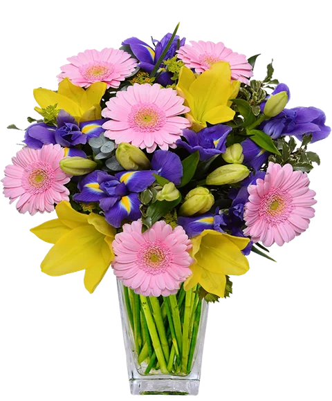 Bouquet iris