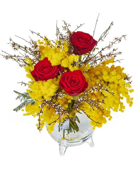 Bouquet di mimosa